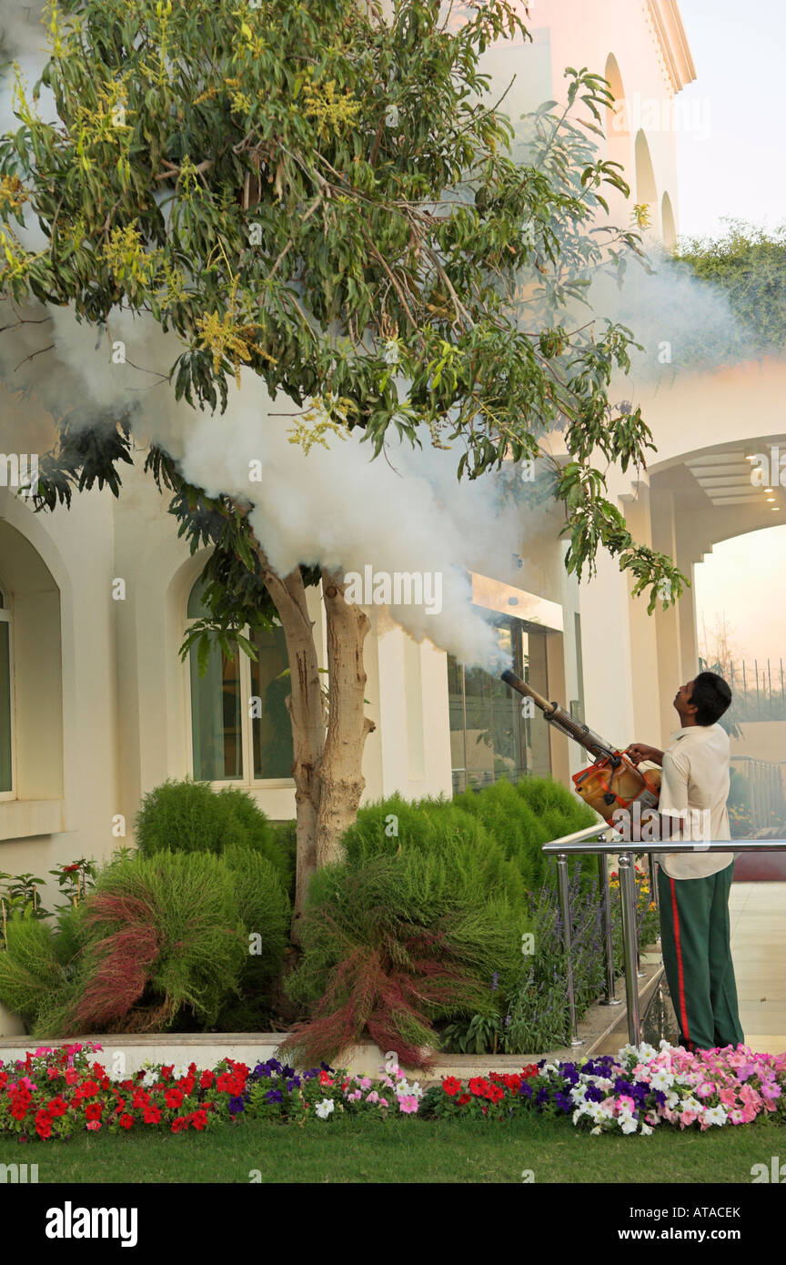 Gärtner Spritzen für Insekten Stockfoto