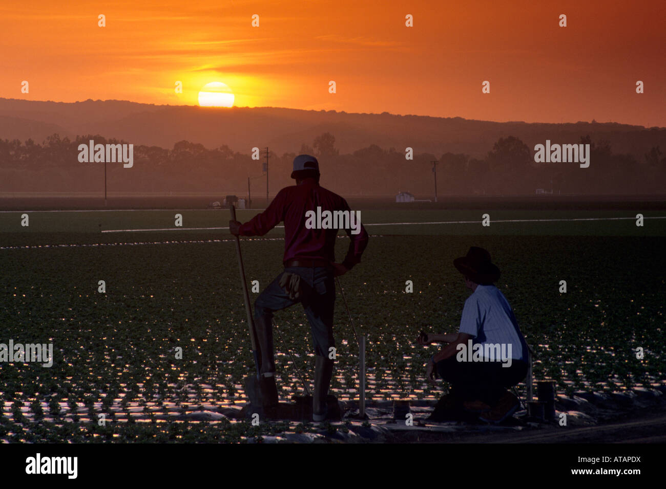 Sonnenuntergang über riesige gemalten Hommage an Migranten Landarbeiter in der Nähe von Salinas Monterey County in Kalifornien Stockfoto