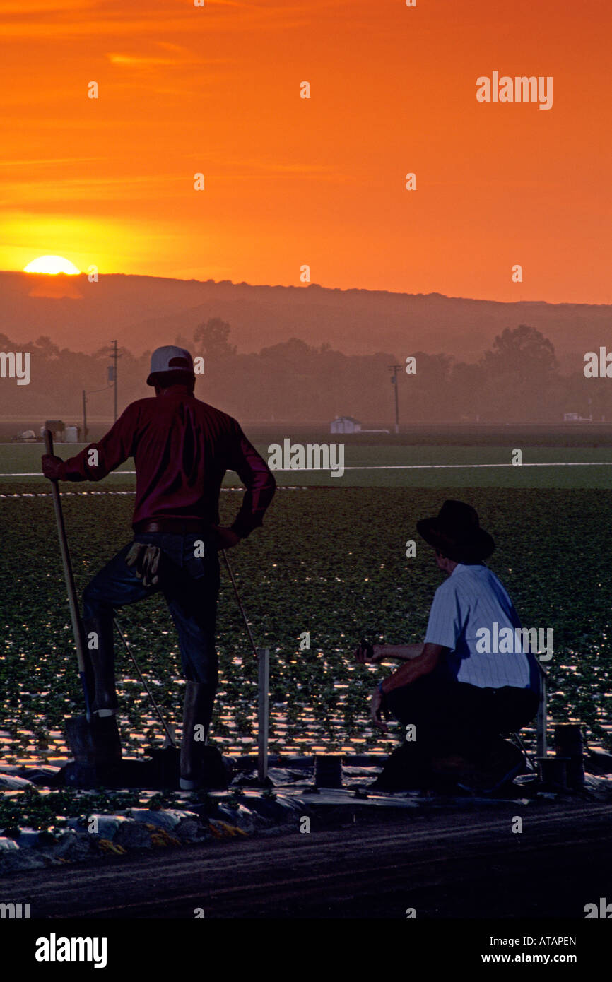 Sonnenuntergang über riesige gemalten Hommage an Migranten Landarbeiter in der Nähe von Salinas Monterey County in Kalifornien Stockfoto