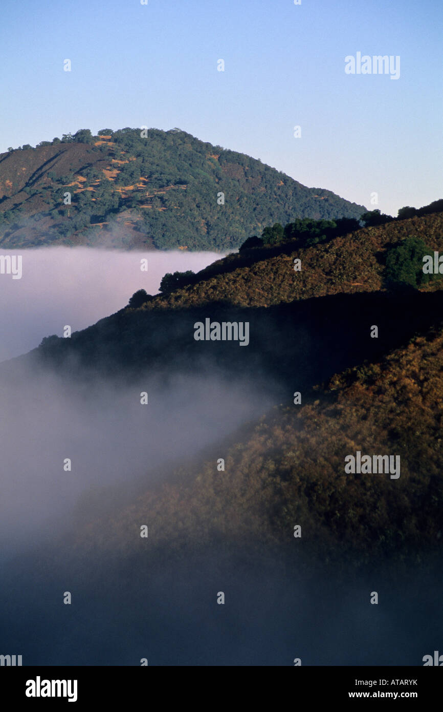 Küstennebel und Hügeln entlang Cachaqua Straße über Carmel Valley Monterey County in Kalifornien Stockfoto