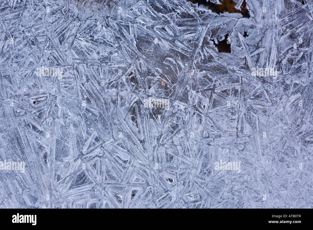 Eiskristalle auf Stream Derbyshire Peak District Stockfoto