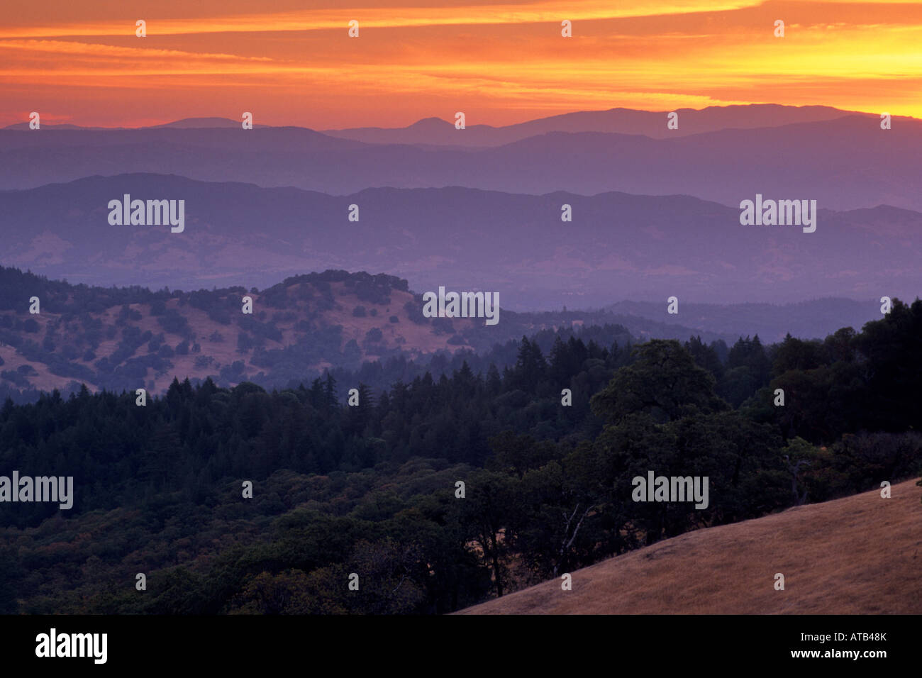 Sonnenaufgang in den Hügeln oberhalb von Ukiah von Orr Springs Road Mendocino County, California Stockfoto