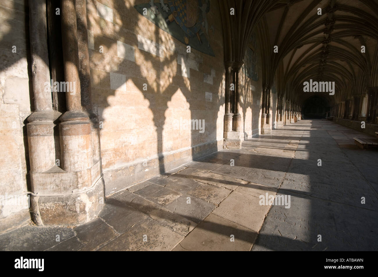 Foto von Jason Bye Kredit obligatorisch t 07966 173 930 e Mail Jasonbye com w http Www Jasonbye com Stockfoto