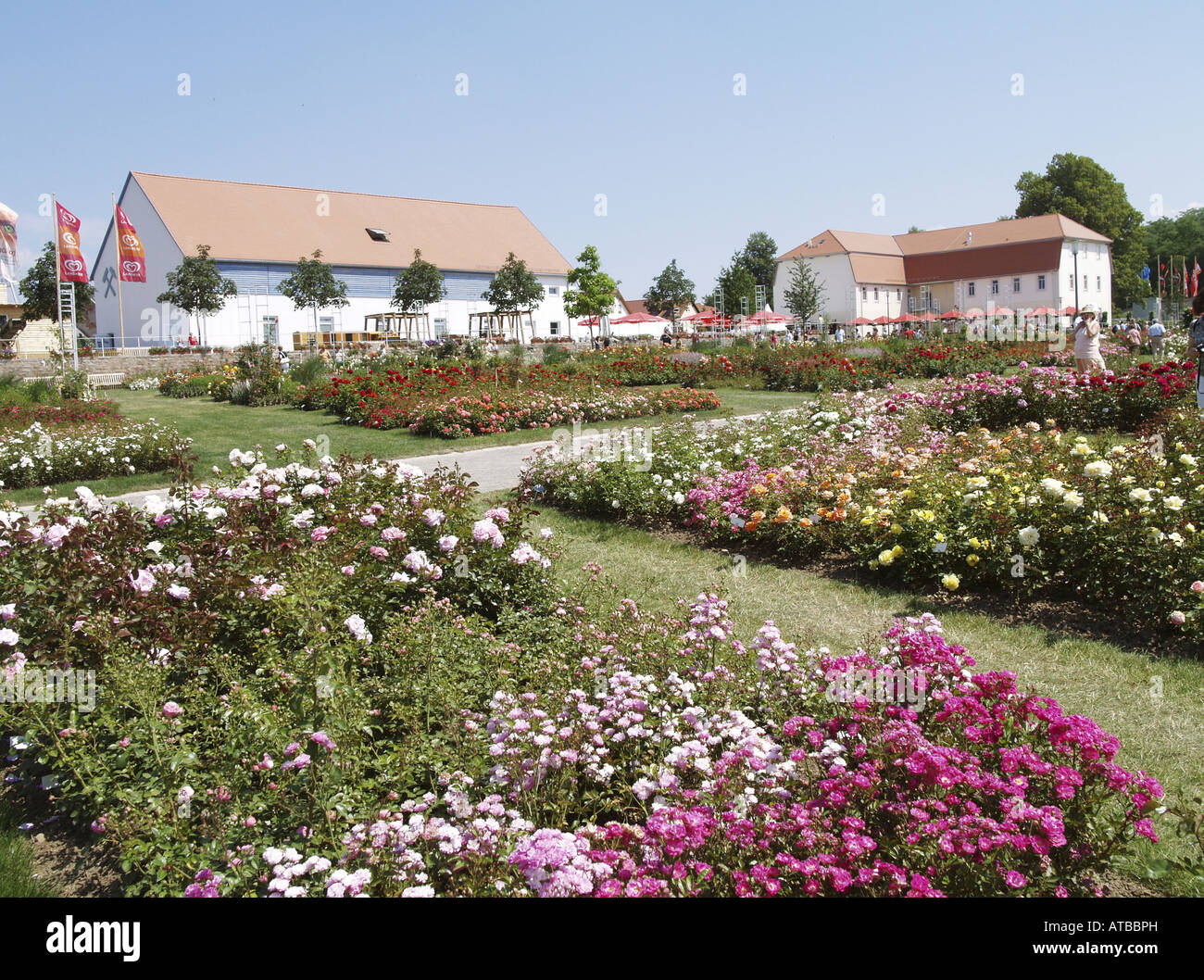 Rosengarten am Eidgenössischen Garten Ausstellung 2007 Gera und