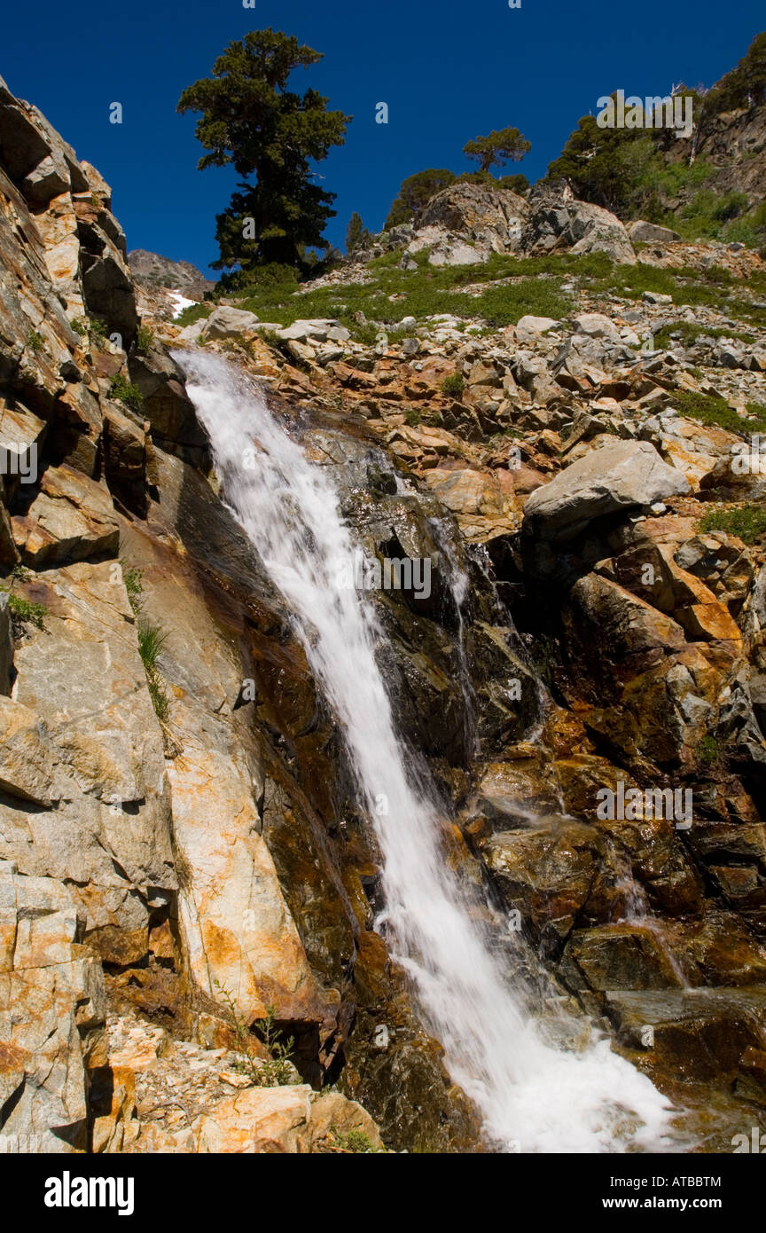 Wasserfall auf alpine Stream in Desolation Wilderness El Dorado National Forest Kalifornien Stockfoto