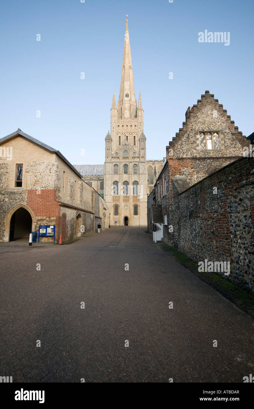 Foto von Jason Bye Kredit obligatorisch t 07966 173 930 e Mail Jasonbye com w http Www Jasonbye com Stockfoto