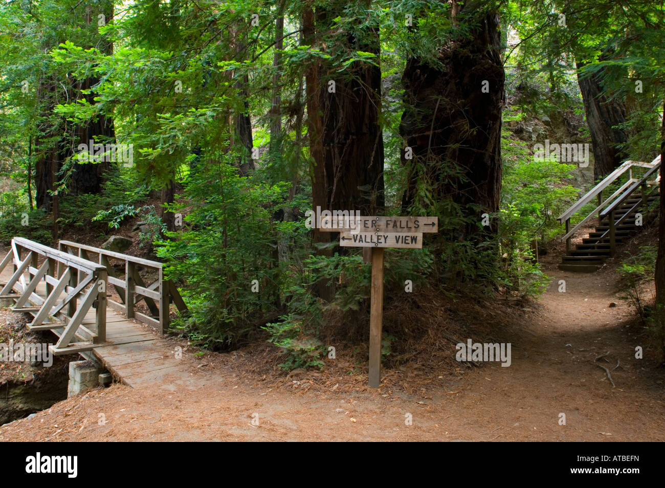Wandern Wanderweg-Wegweiser im Pfeiffer Big Sur State Park Monterey County in Kalifornien Stockfoto