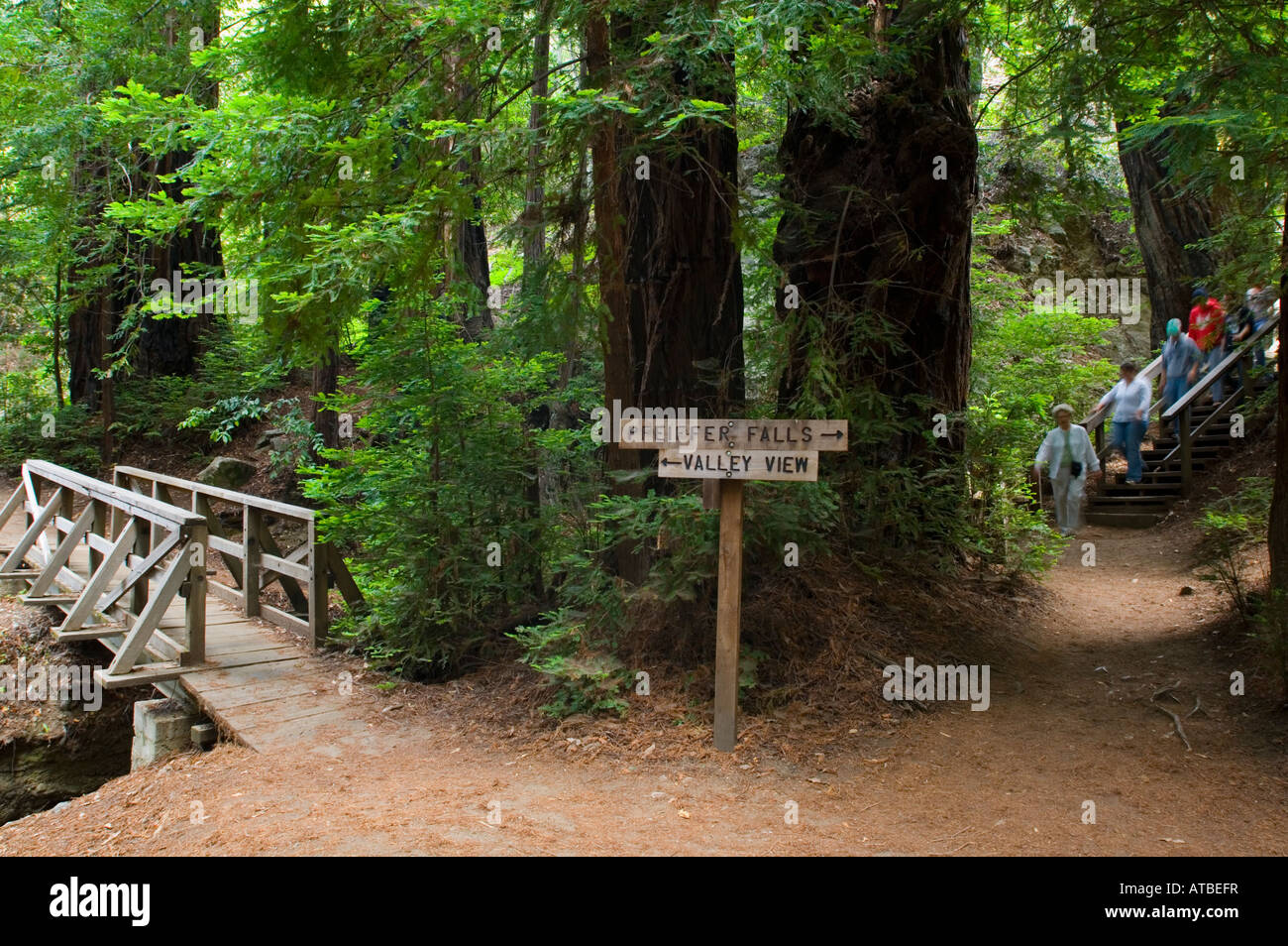 Wanderer und Wanderweg Wegweiser im Pfeiffer Big Sur State Park Monterey County in Kalifornien Stockfoto