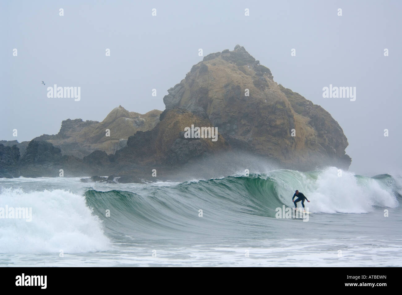 Mann beim Surfen auf die brechenden Wellen neben Küste Felsen im Nebel Pfeiffer Beach Big Sur Küste Monterey County Kalifornien Stockfoto