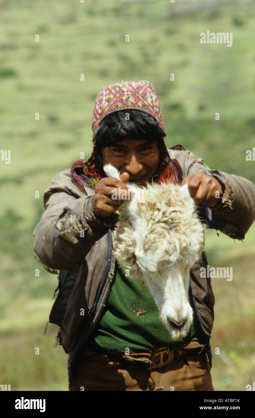 Quechua-Indianer zeigt einen Kopf von einem Lama der vergangenen Nacht von  einem Puma getötet Stockfotografie - Alamy