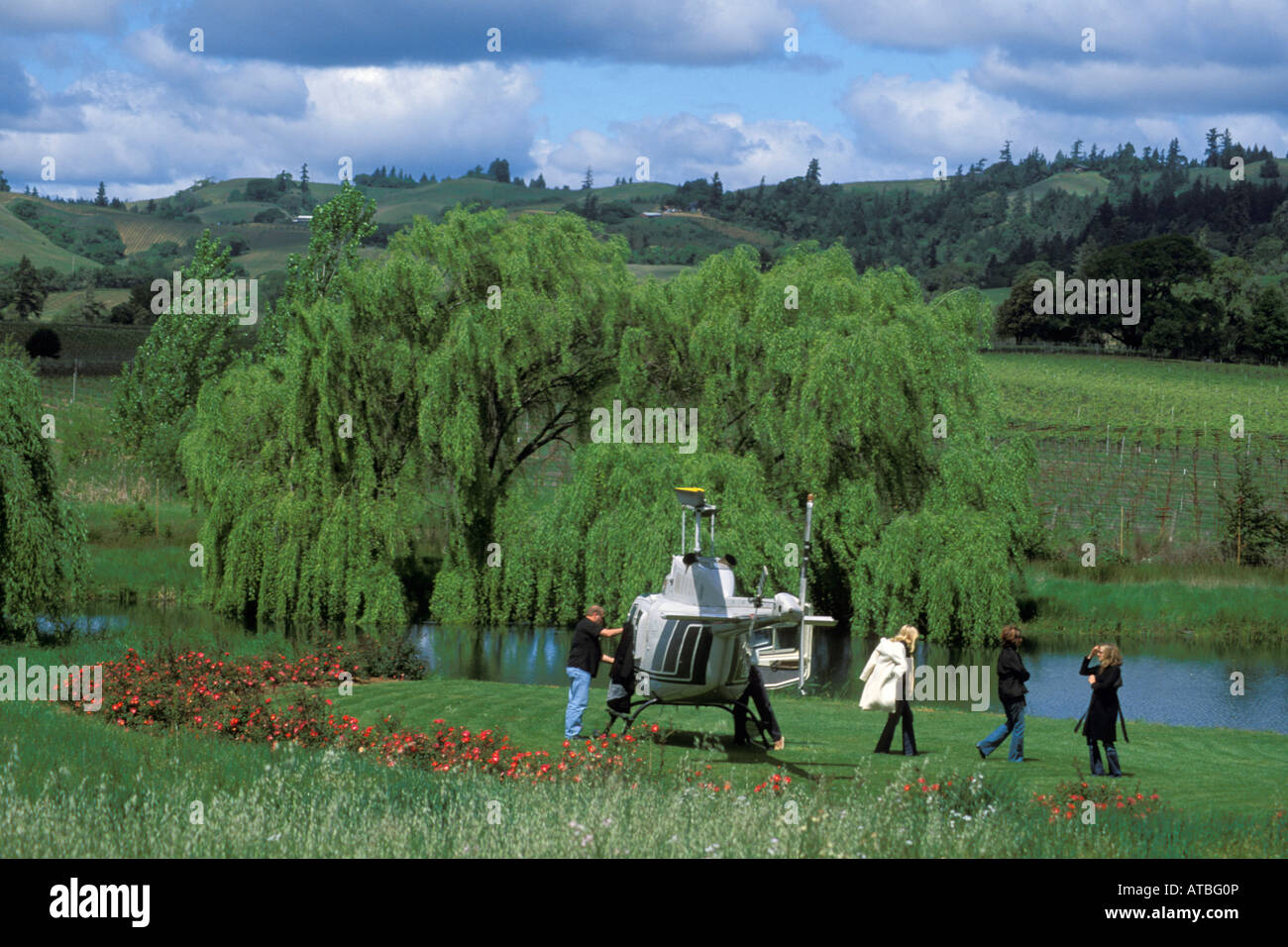 Hubschrauber landet auf dem Greenwood Ridge Vineyards in der Nähe von Philo Mendocino County, California Stockfoto