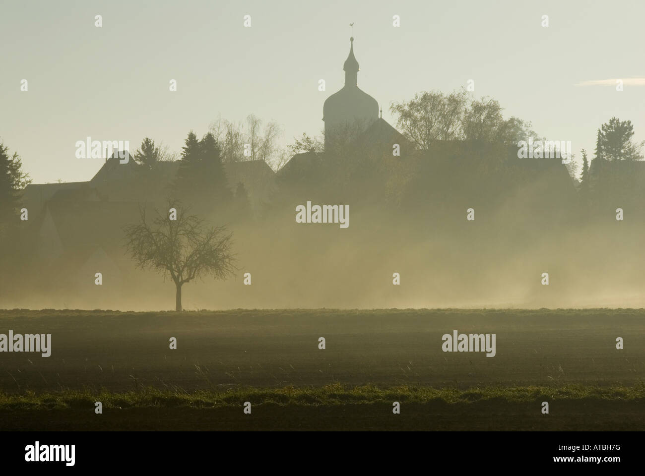 Morgen Nebel ca Billigheim am deutschen Wein Route, Deutschland, Rheinland-Pfalz, Pfälzer Wald, Billigheim Stockfoto