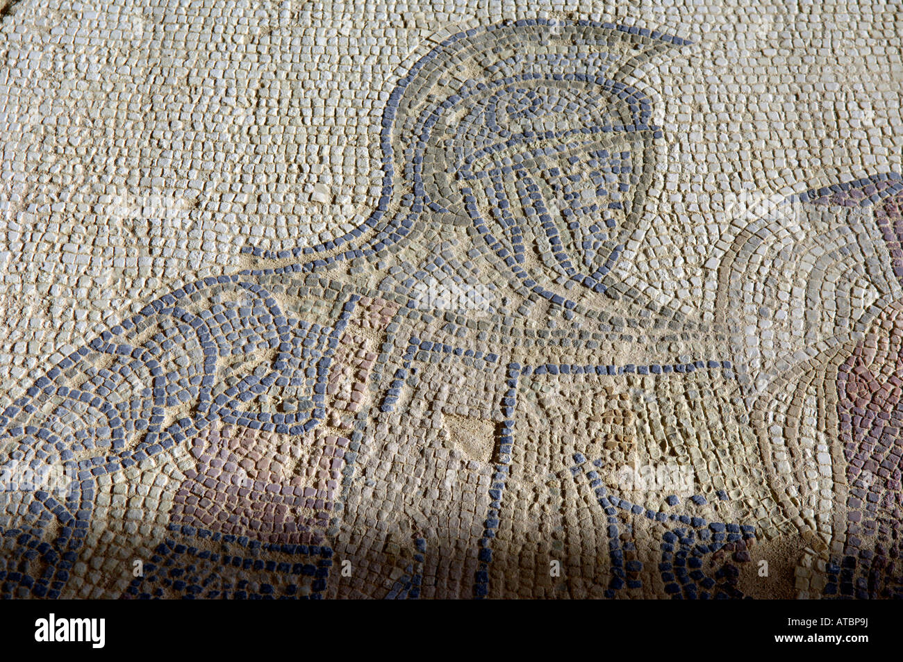 Haus der Gladiatoren alten Mosaik Kourion Episkopi Zypern Stockfoto