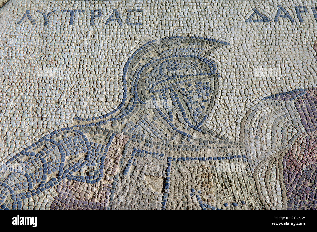 Haus der Gladiatoren alten Mosaik Kourion Episkopi Zypern Stockfoto