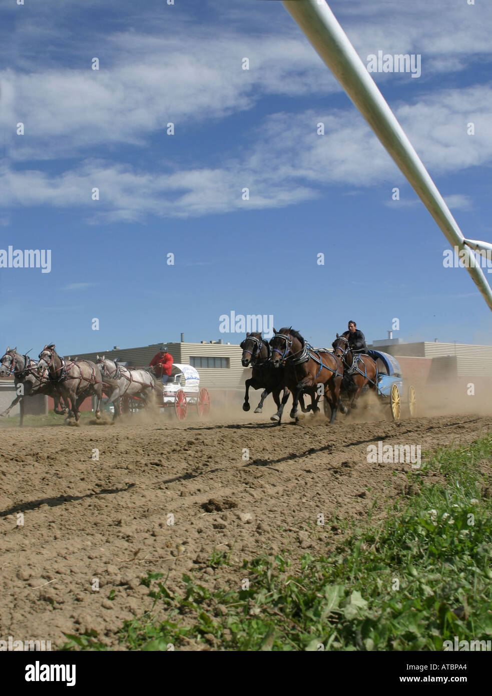 CHUCK WAGONS; Rodeo, Alberta, Kanada, Chuck Wagon racing, Stockfoto