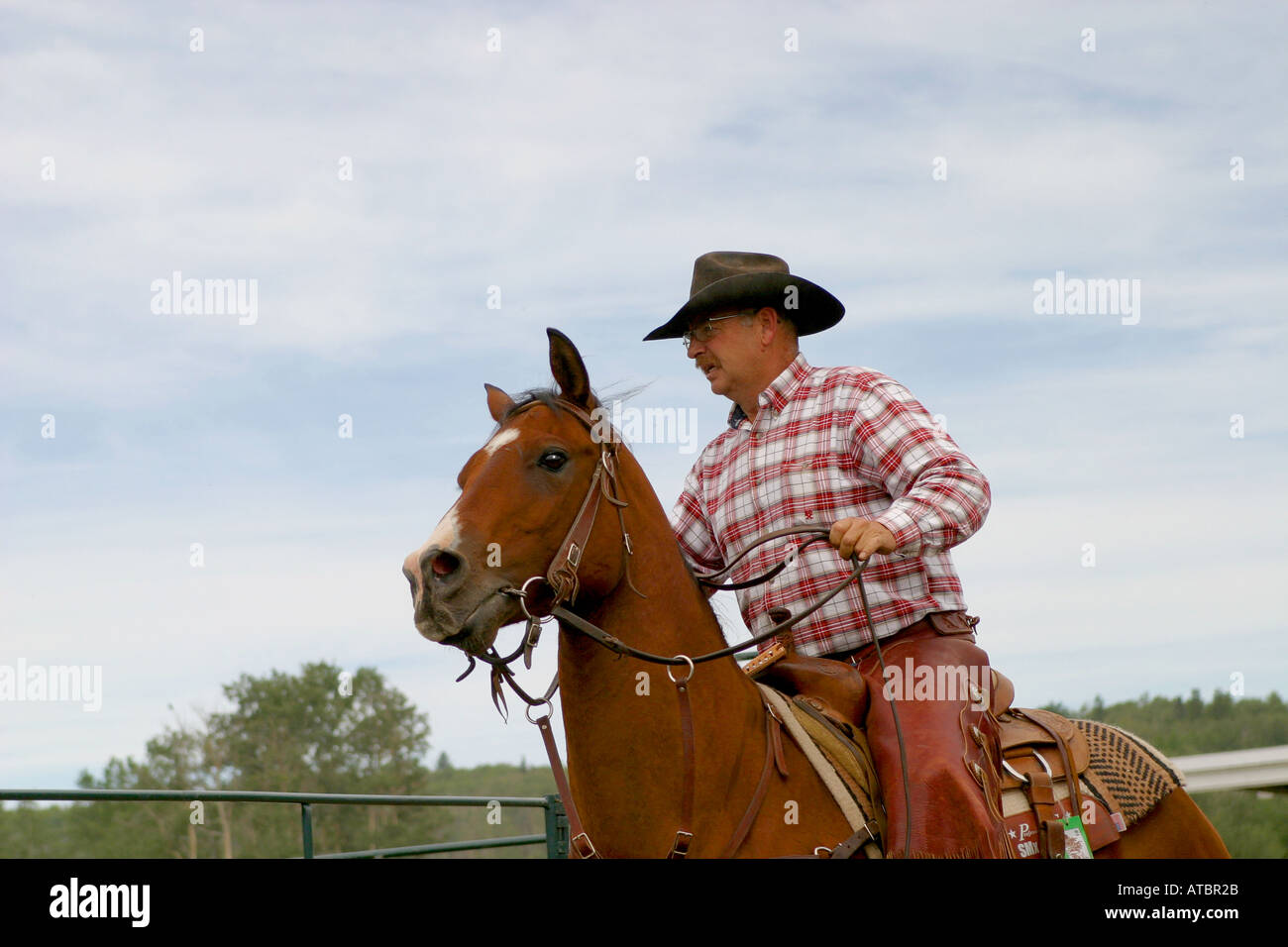 CATTLE PENNING; Pferd und Reiter Stockfoto