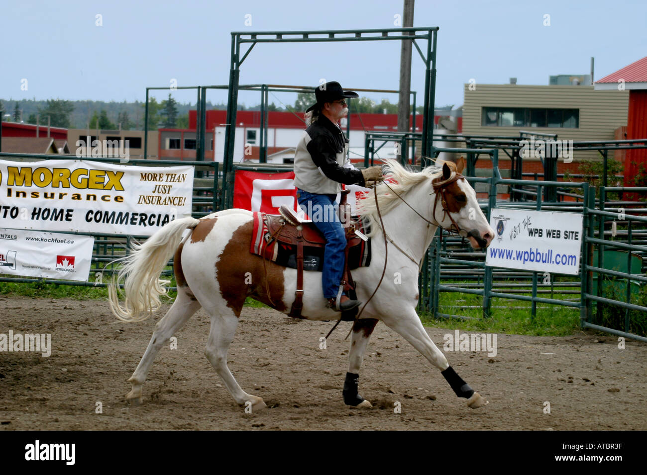 CATTLE PENNING Stockfoto