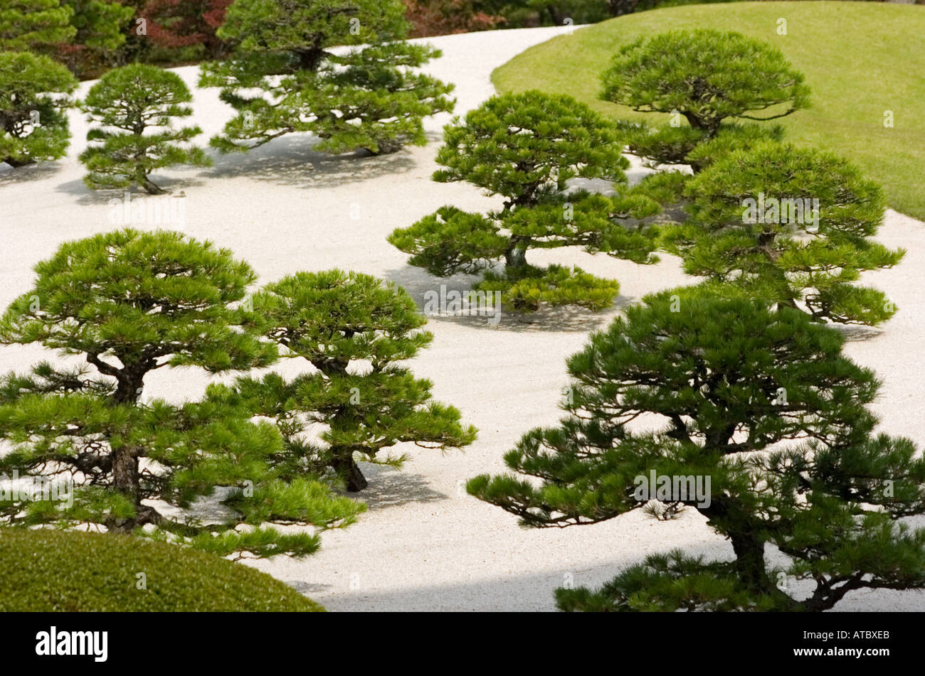 Detail von weißem Kies und Kiefer Garten am Adachi Museum of Art in Japan Stockfoto