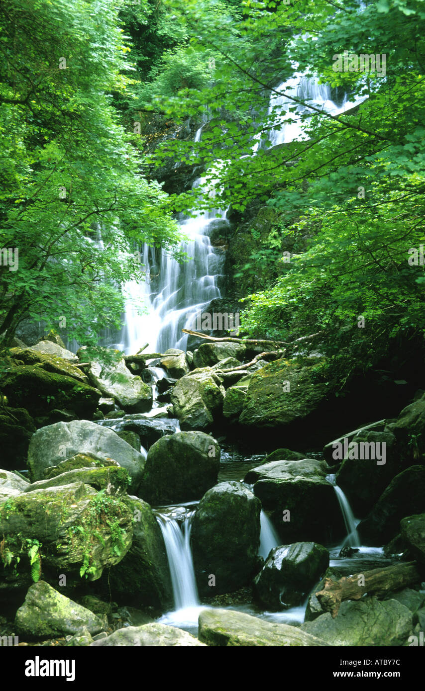 MALERISCHE TORC WASSERFALL, EINEM BERÜHMTEN ORT AN EINEM ORT VIELE SCHÖNHEITEN IN DER NÄHE VON KILLARNEY IRLAND Stockfoto