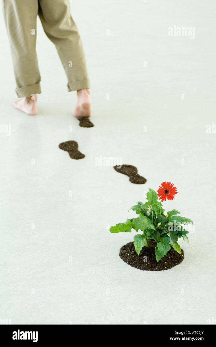Menschen Sie hinterlassen Spuren des Bodens, wie er durch die Blume geht, Ansicht beschnitten Stockfoto