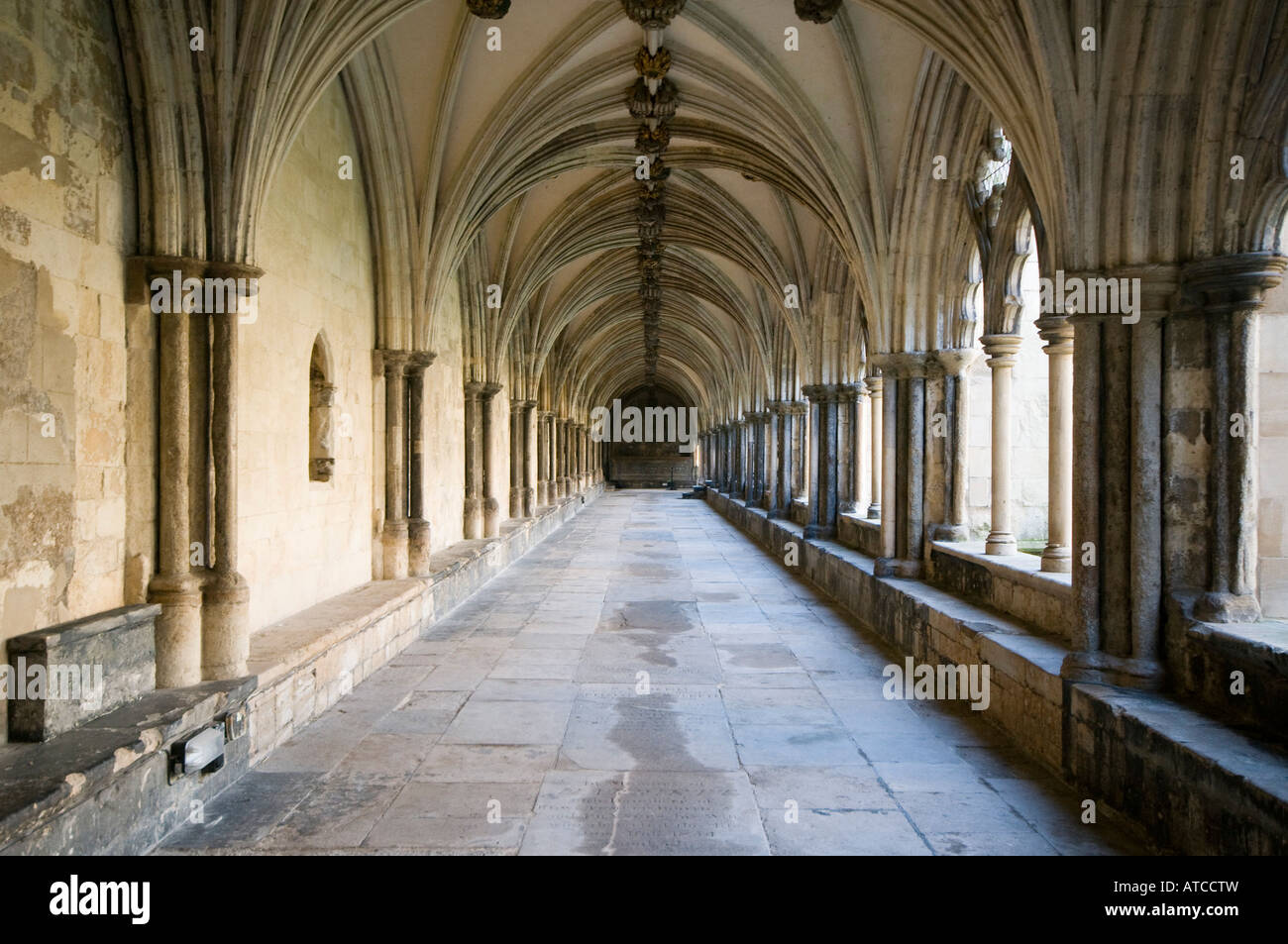 Foto von Jason Bye Kredit obligatorisch t 07966 173 930 e Mail Jasonbye com w http Www Jasonbye com Stockfoto