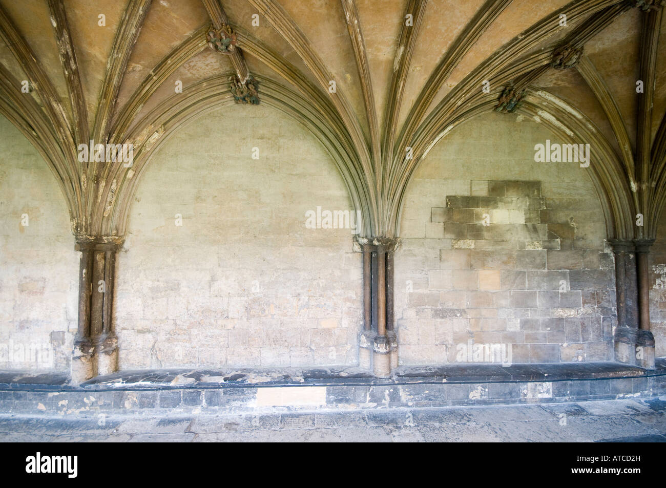 Foto von Jason Bye Kredit obligatorisch t 07966 173 930 e Mail Jasonbye com w http Www Jasonbye com Stockfoto