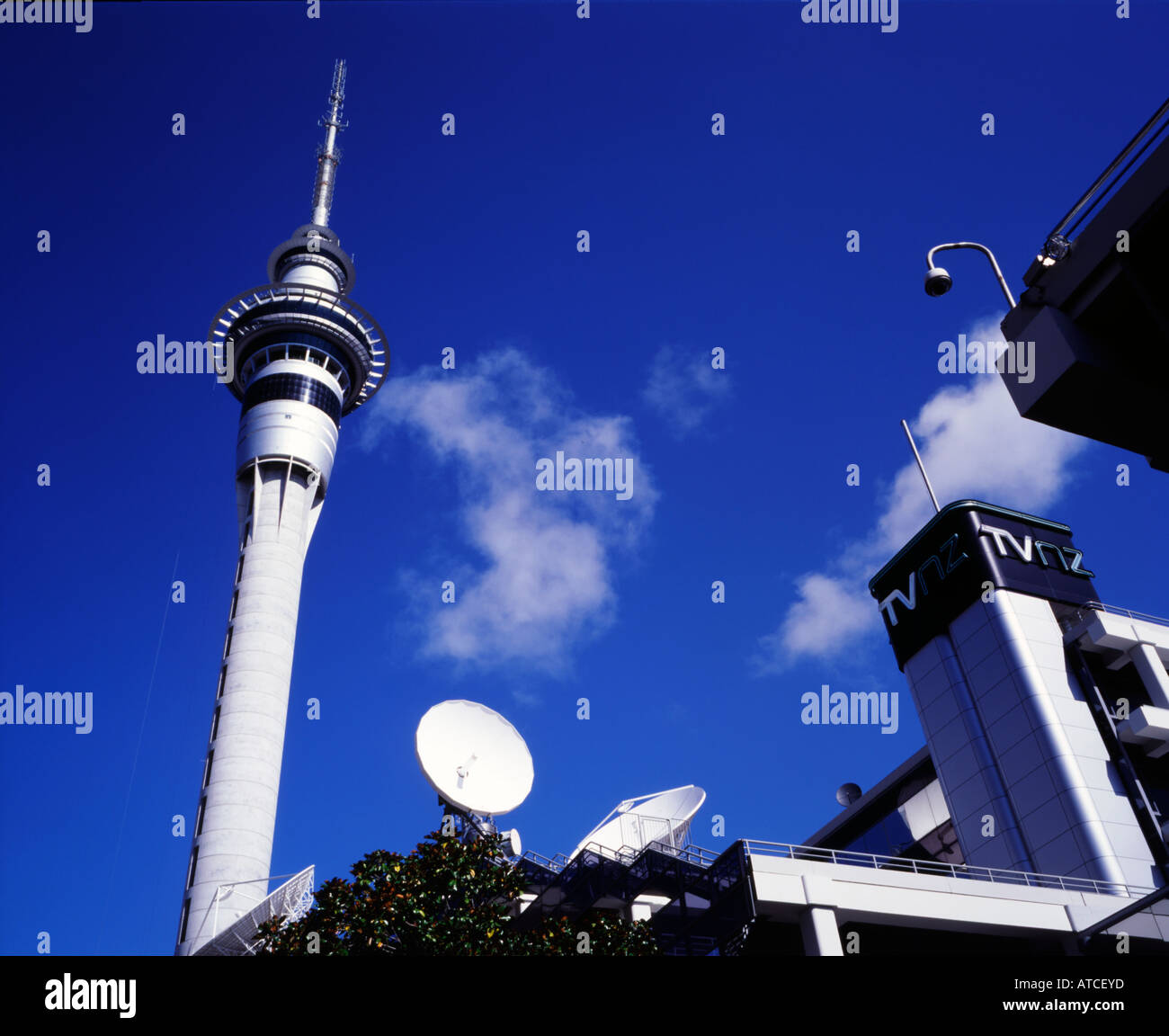 Sky Tower Auckland New Zealand Stockfoto