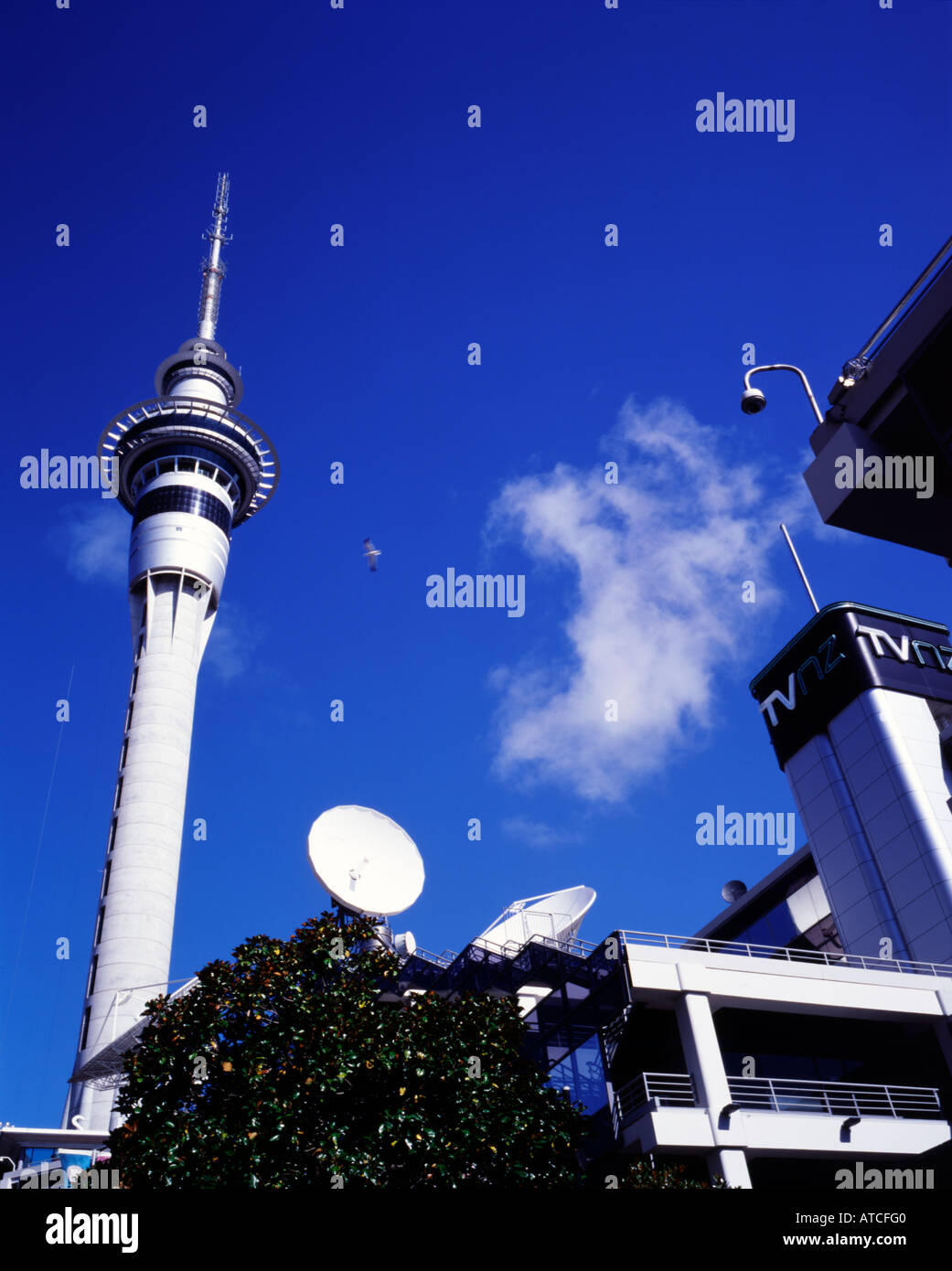 Sky Tower Auckland New Zealand Stockfoto