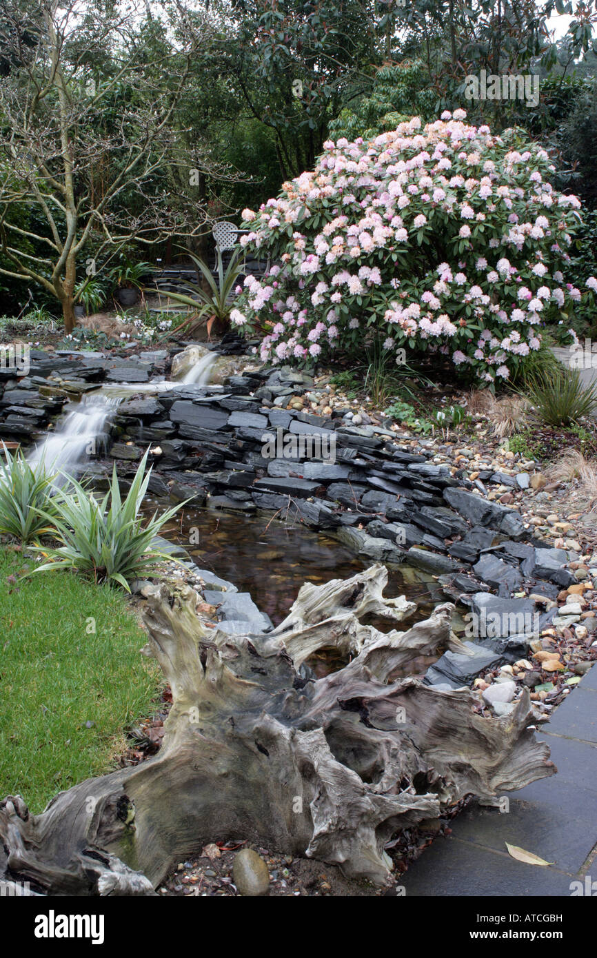 Treibholz in einem irischen Wassergarten Stockfoto
