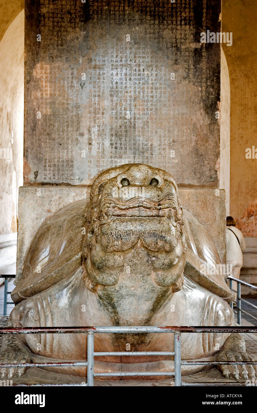 Die Marmorskulptur einer drachenköpfigen Schildkröte, die auf dem Rücken die größte beschriftete Stele Chinas trägt, befindet sich auf dem Heiligen Weg Stockfoto