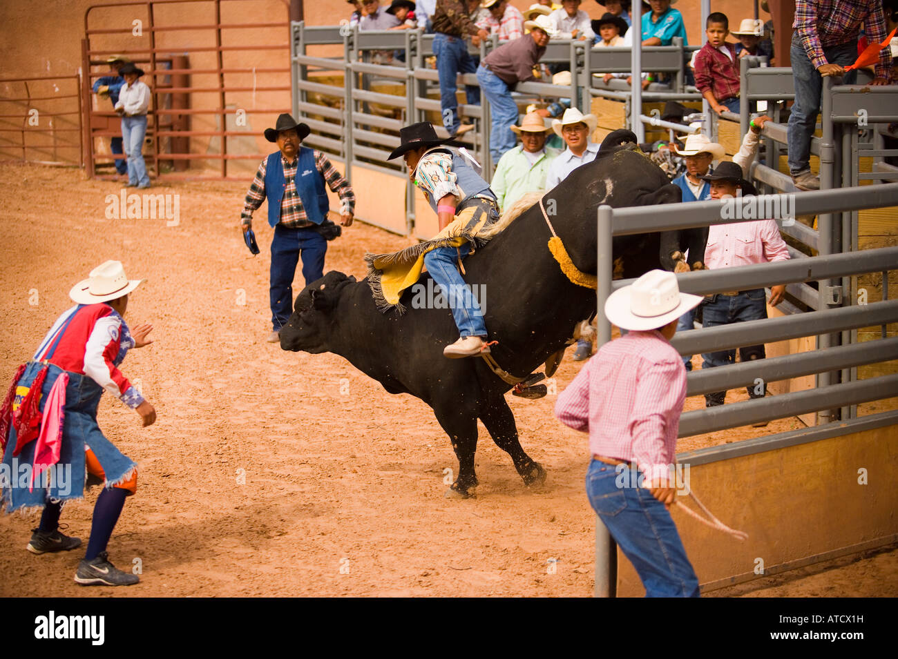 junge Fahrer konkurrieren im Bull Riding Event All Indian Rodeo Gallup Inter Tribal Indian Ceremonial Gallup New Mexico Stockfoto