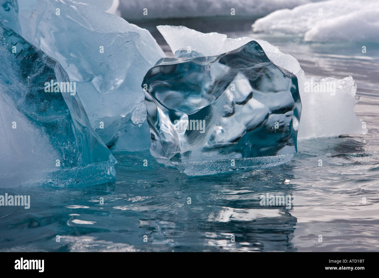 Kristallklare Stück des Eisbergs schweben in silbrigen blau Antarktis Gewässer unter blauen Stücke von Eis Stockfoto
