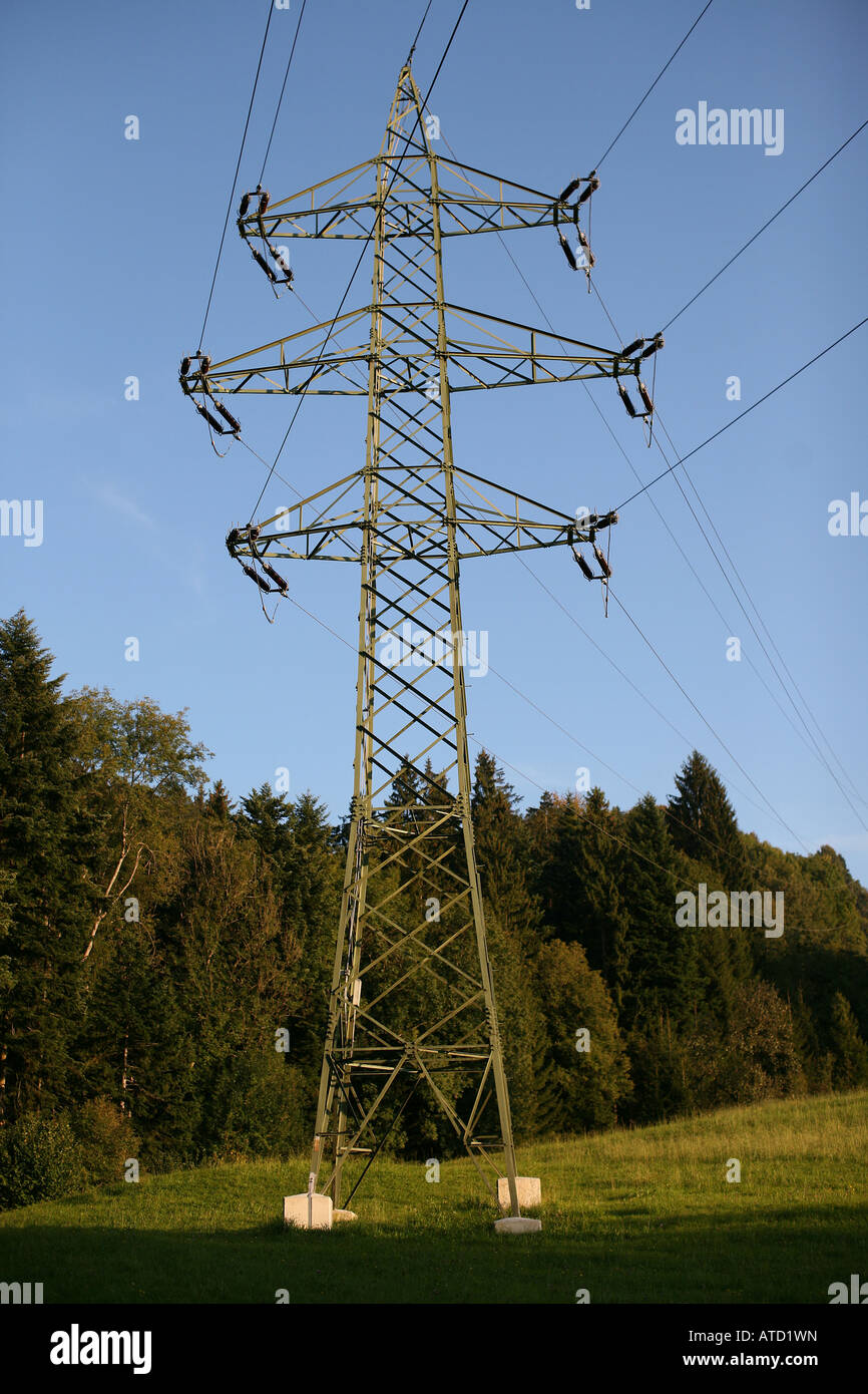 Strommast am Rande des Waldes Stockfoto