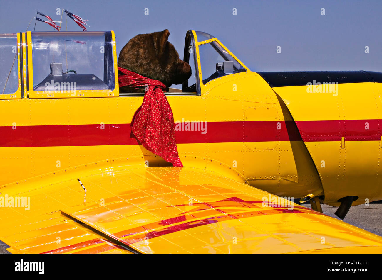 Großer Teddybär sitzt im Flugzeug-cockpit Stockfoto