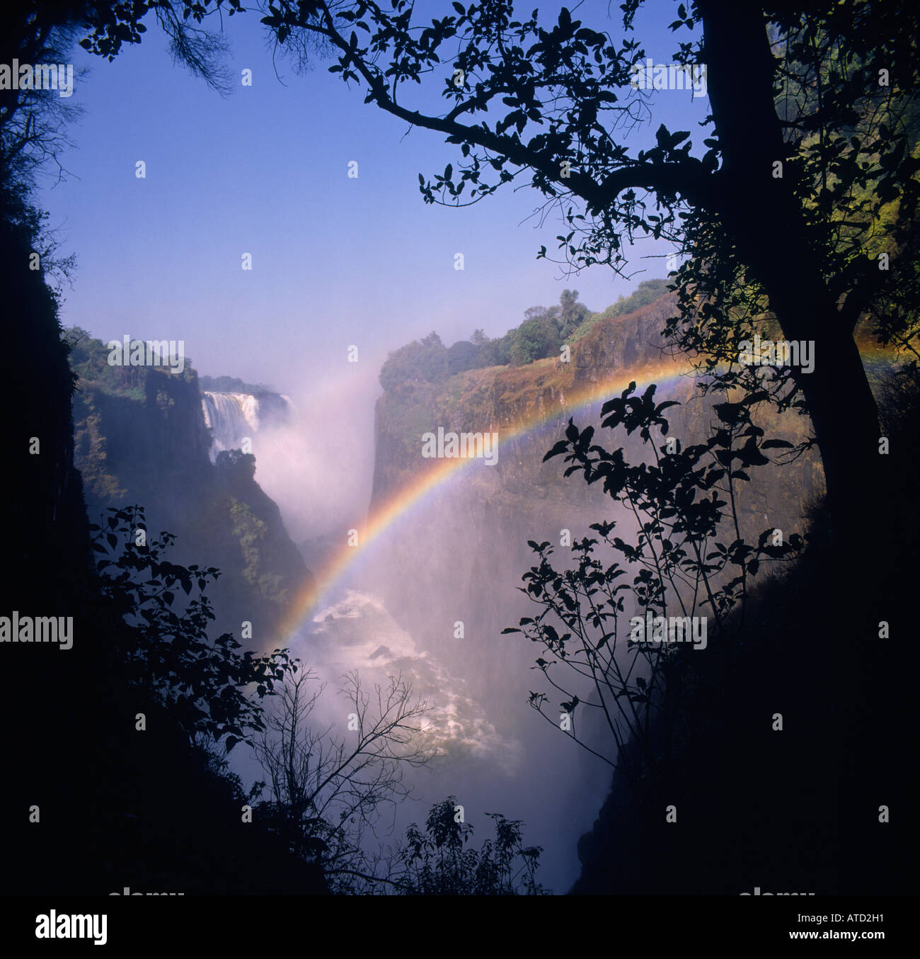 Main fällt, Klippen und Schlucht mit Regenbogen Wolke von Spray, umrahmt von Bäumen an den Victoria Fällen in Matabeleland Provinz Simbabwe Stockfoto