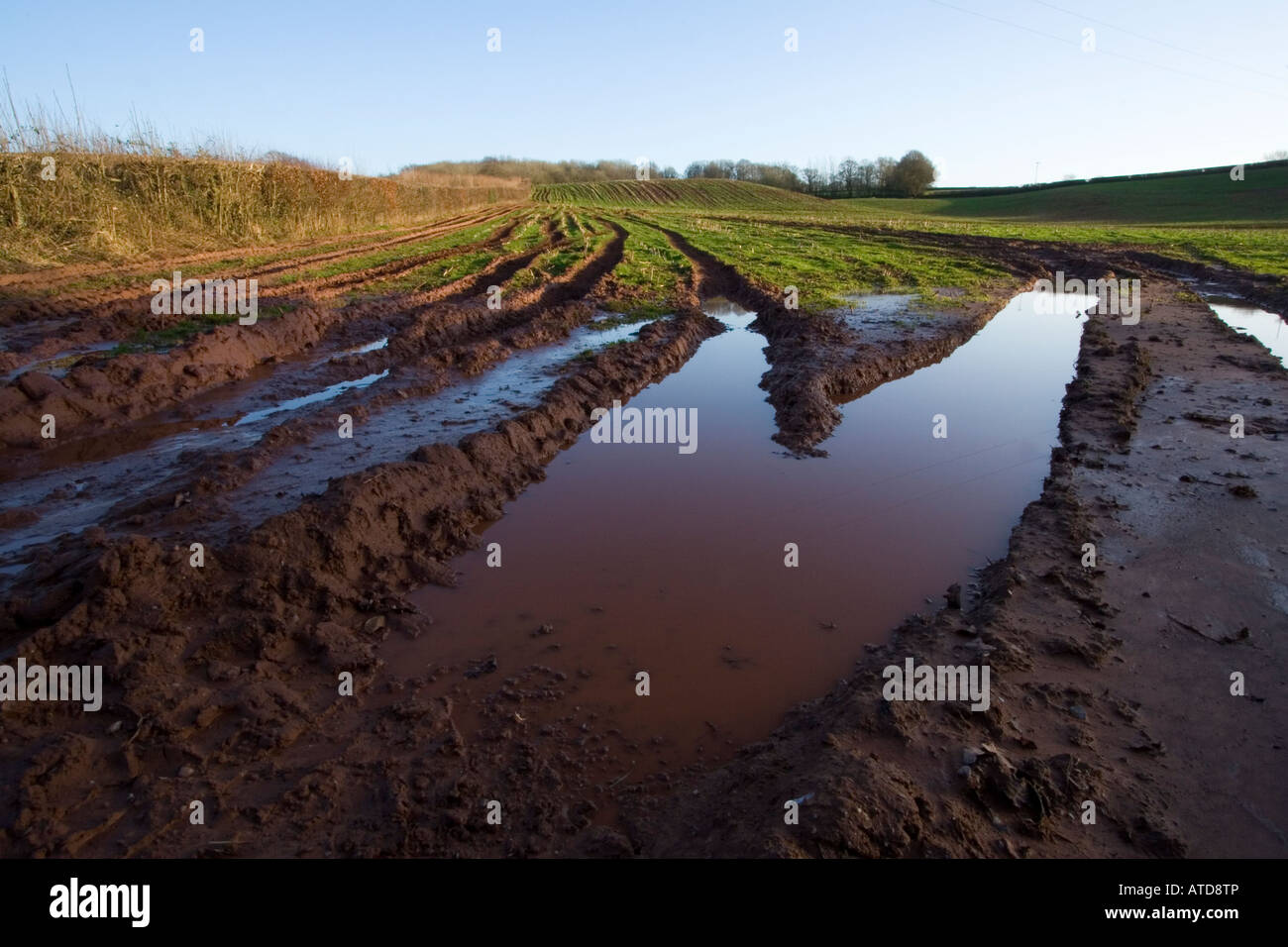 Traktor-Wanderwege Stockfoto