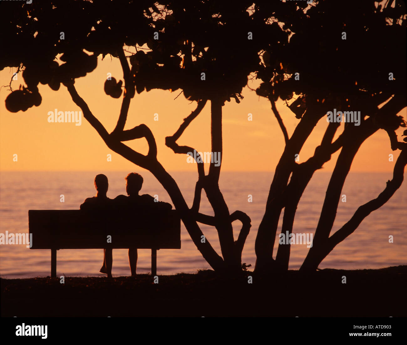 Silhouette der zwei Leute sitzen auf einer Parkbank unter einem Baum vor dem Hintergrund der Ozean und Himmel bei Sonnenuntergang Charleston, SC Stockfoto