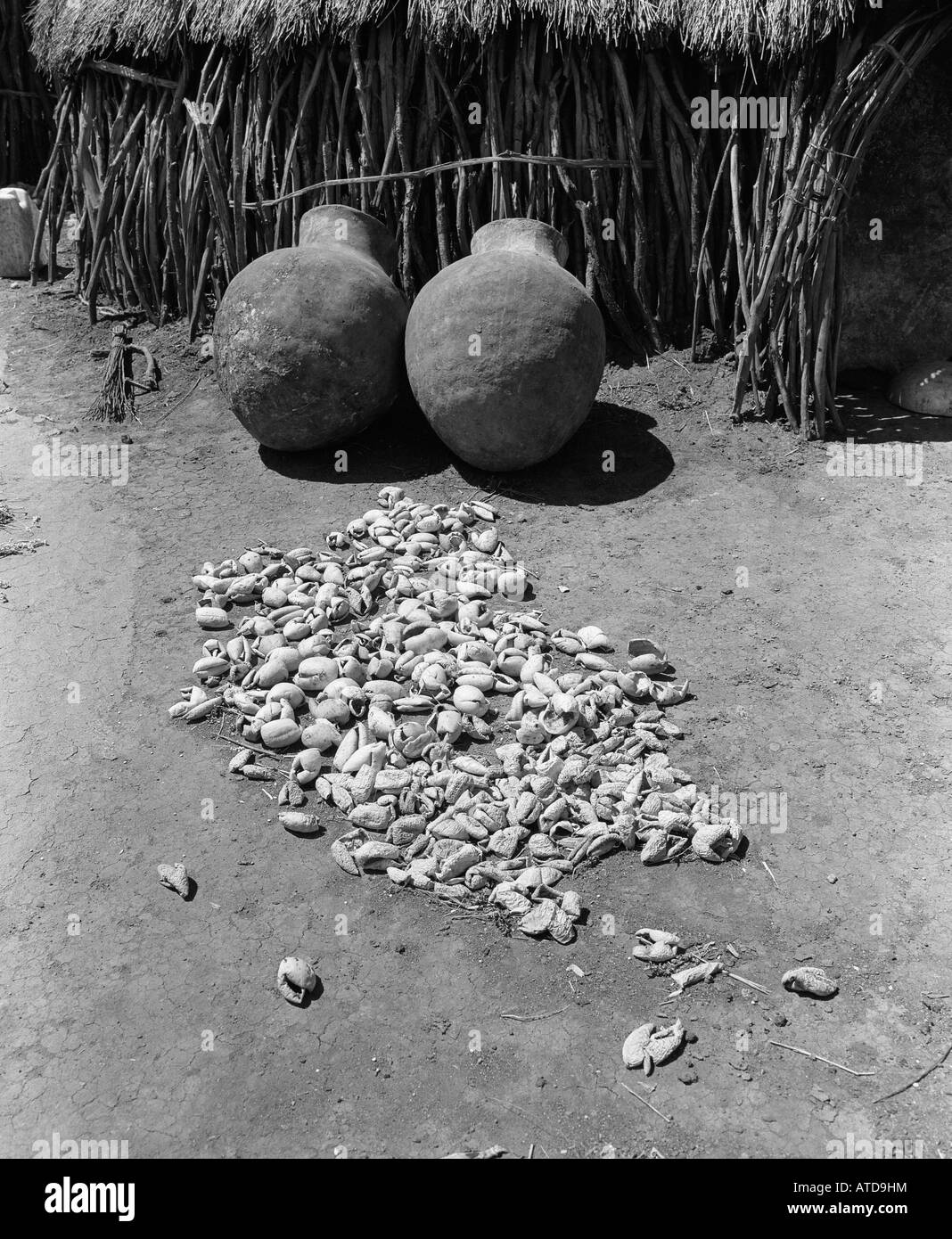 Karamojong Dorf mit Lebensmitteln vor Terrakotta-Korn-Kästen trocknen. Karamoja Uganda Afrika Stockfoto