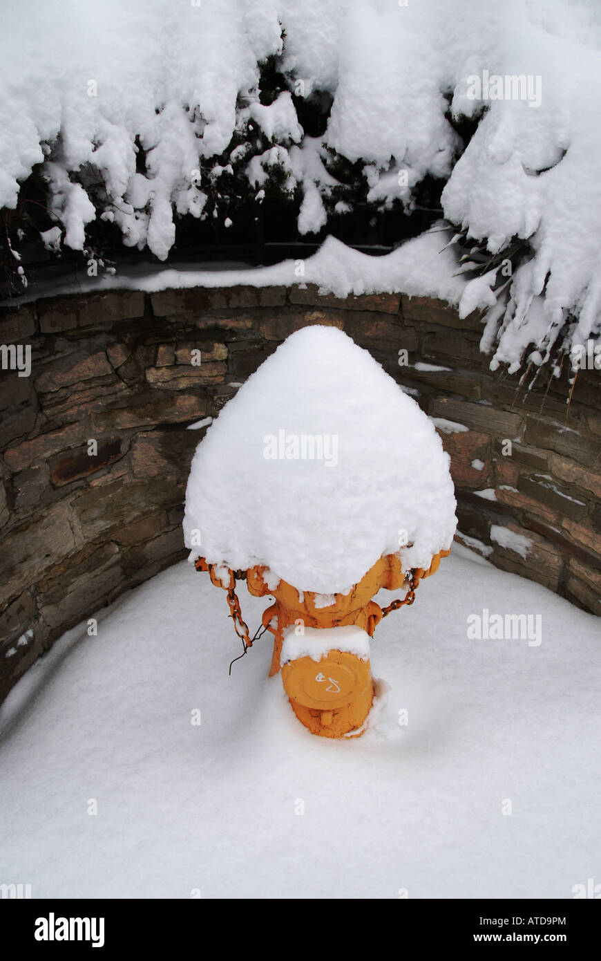 Ein Hydranten mit Schnee bedeckt nach einem Wintersturm Stockfoto