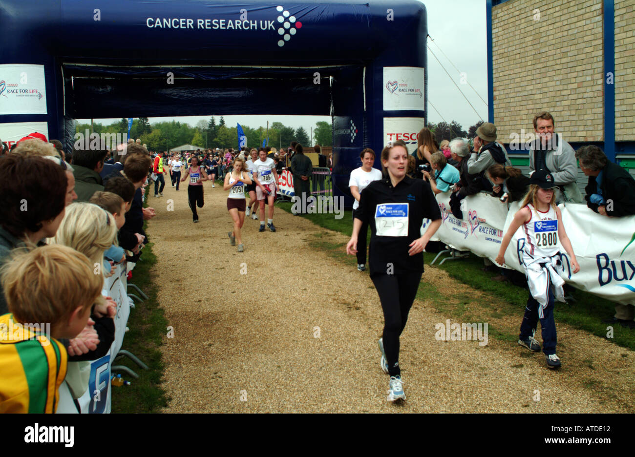 Rennen für das Leben von Frauen Norwich Norfolk Stockfoto