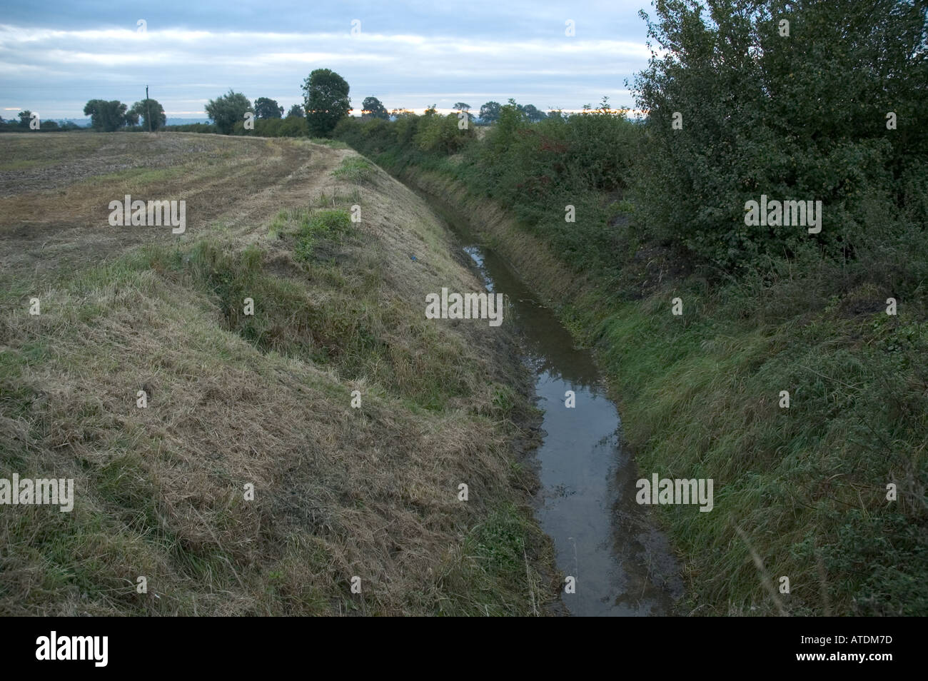 Entwässerungsgraben im Fenland Lincolnshire England UK Stockfoto