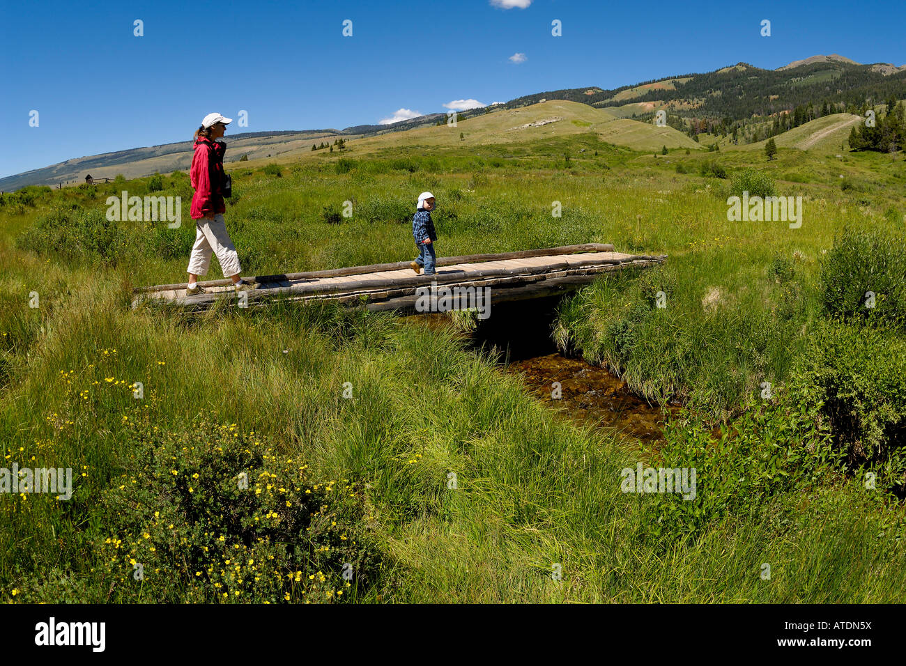 Green River Bridger-Teton National Forest Wyoming Stockfoto