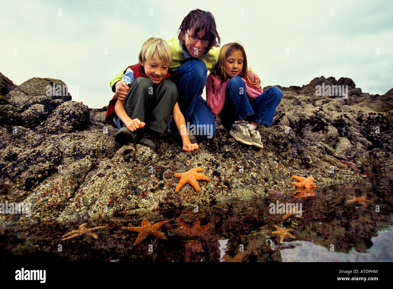 Tidepools erlauben Leuten einen Blick auf Ozean Pflanzen und Tiere Monterey Bay National Marine Sanctuary California Pacific Ocean Stockfoto