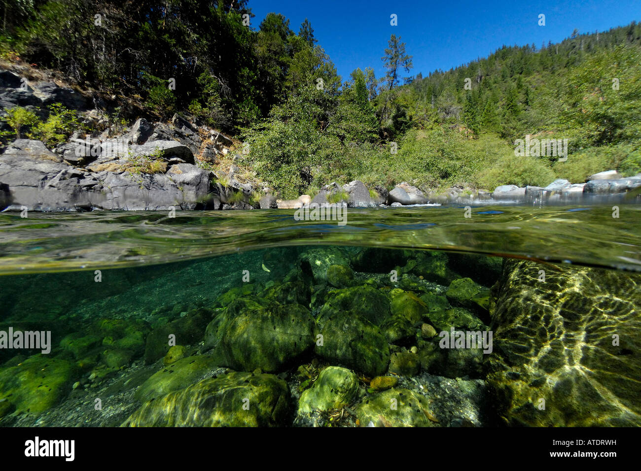 Smith River-Kalifornien Stockfoto