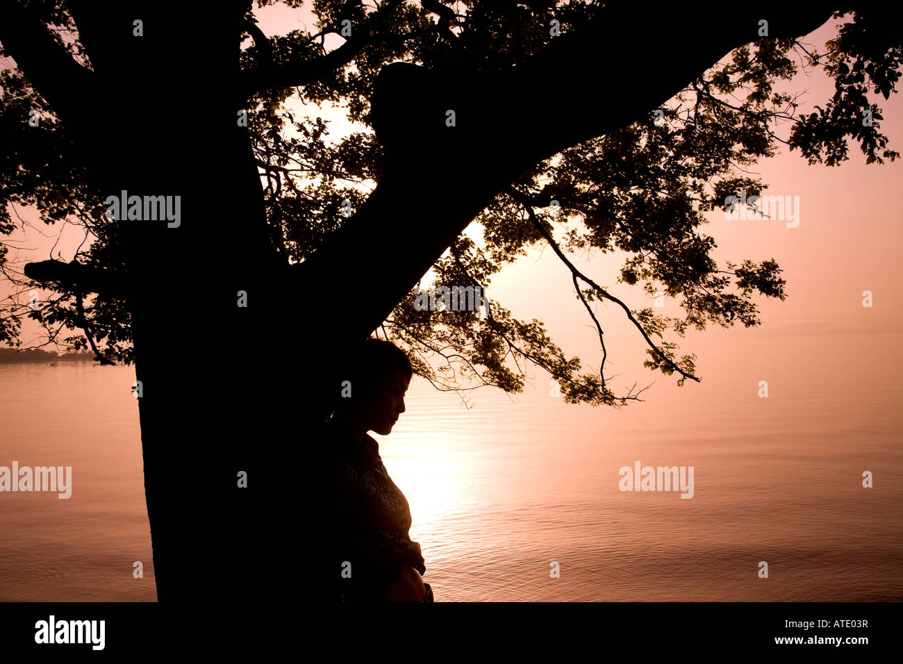 Silhouette der jungen Frau lehnte sich gegen Baum am See Stockfoto
