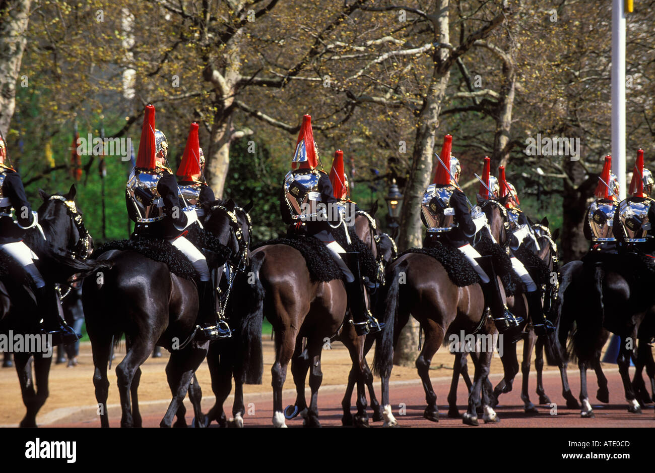 Ein Geschwader von Haushalt Kavallerie Blues und Royals The Mall London England UK Stockfoto