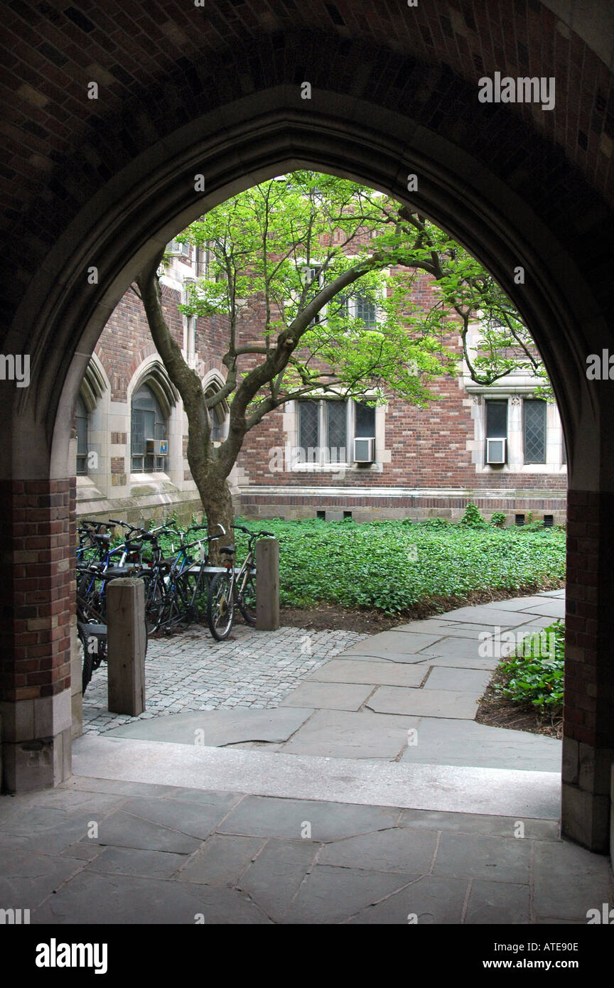 Portal Yale University New Haven Connecticut USA Stockfoto