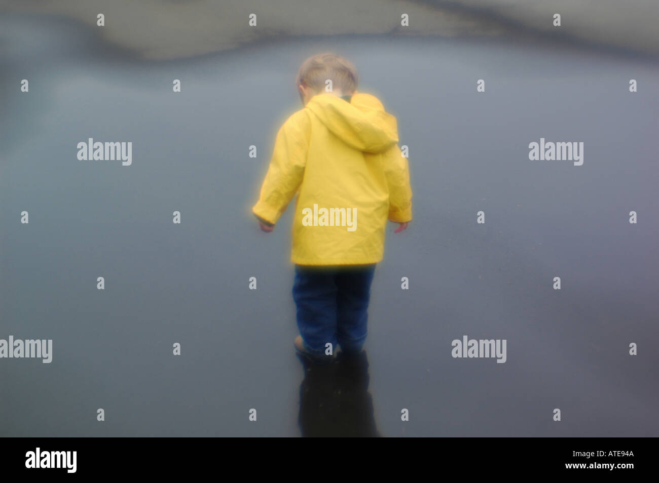 Kleiner tragen gelb Regen Jacke glatter Mantel junge spielt in Pfütze Stockfoto