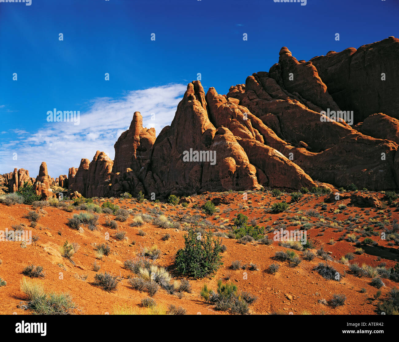 Sandstein-Formationen in der Nähe von den feurigen Ofen Arches National Park Utah USA Stockfoto