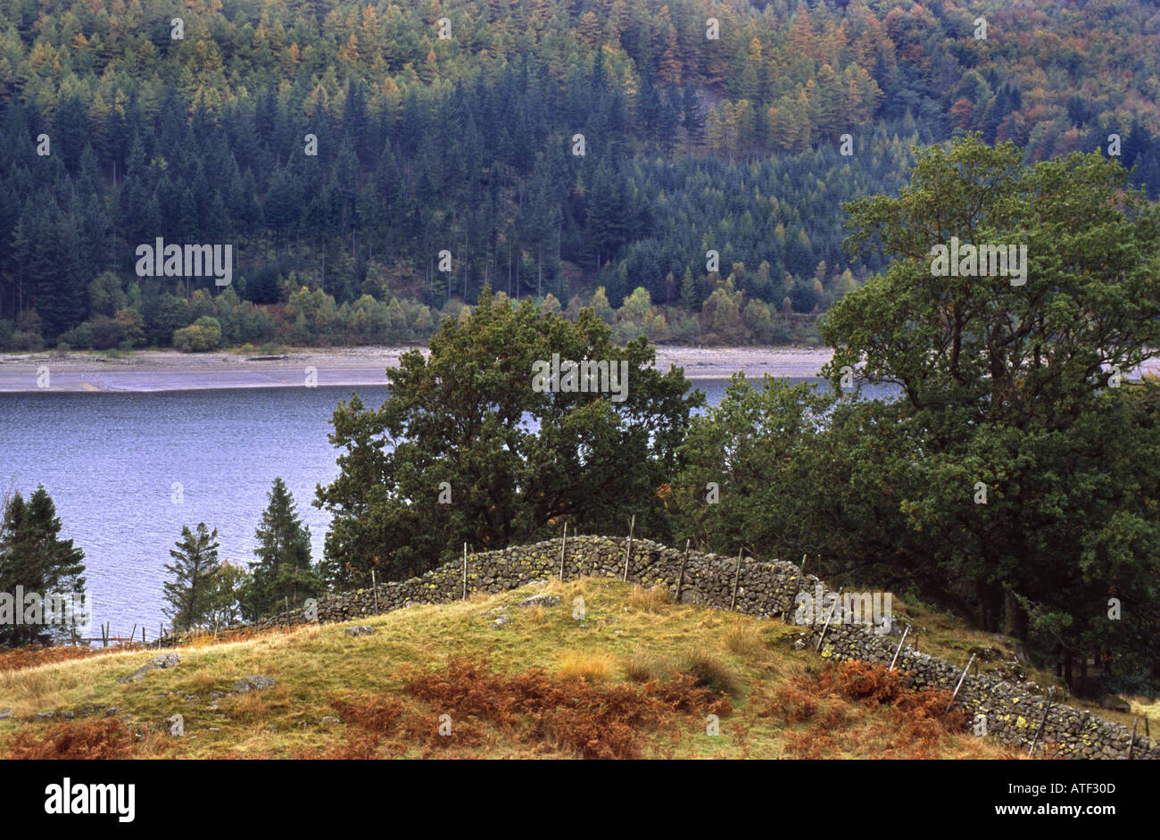 Thirlmere Reservoir im Lake District England UK Stockfoto